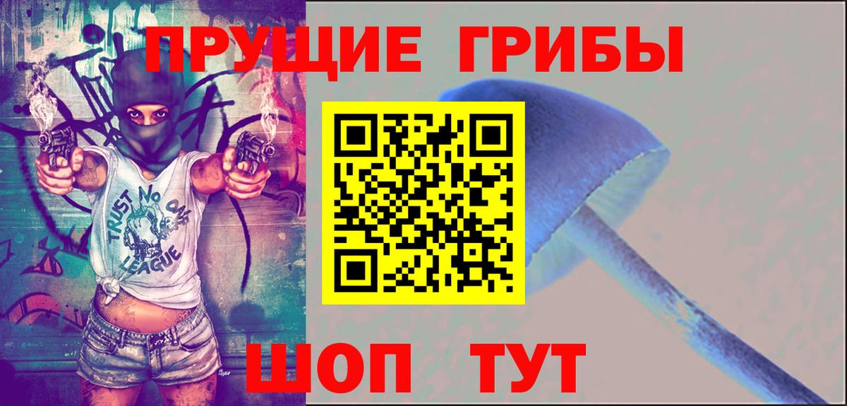 Сочи  Псилоцибиновые грибы GOLDEN TEACHER  Вход с VPN 