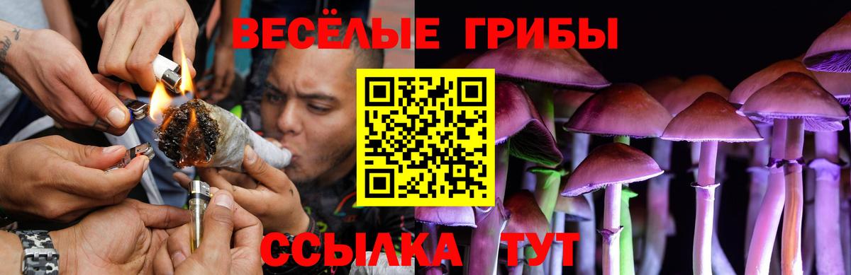 Галлюциногенные грибы мухоморы Сочи